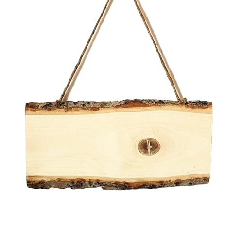 WANYI Holzschild Personalisiert 10 Stück Holz für Brandmalerei Holzschilder zum Beschriften DIY Blanko Holzschild Dekorative Holzbrett mit Seil für Gravur Malen Schreiben Basteln 25×10cm von WANYI