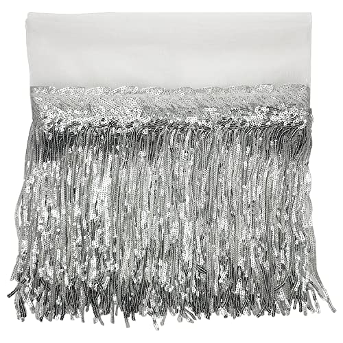 WANYI Seide Pailletten Quaste 5 Yards Länge 20cm Breite Fransenborte Fransenband Quastenbesatz Quastenborte Nähzubehör Bänder für Trimmen Apparel/Bühnenkleider/Vorhänge DIY Decoración (Silber) von WANYI