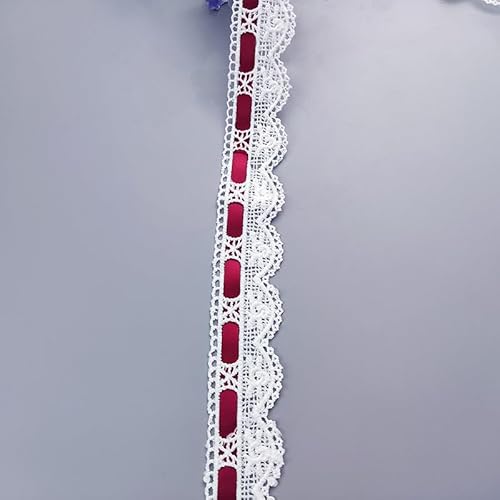 WANYI Spitzenband Stickerei Spitze Borten und Bänder zum Nähen 2.8cm Breit Spitzenborte mit Band Milchseide Spitzenstoff Vintage Dekoband für DIY Rock Kragen Unterwäsche Dekoration（Weiß+Rot） von WANYI
