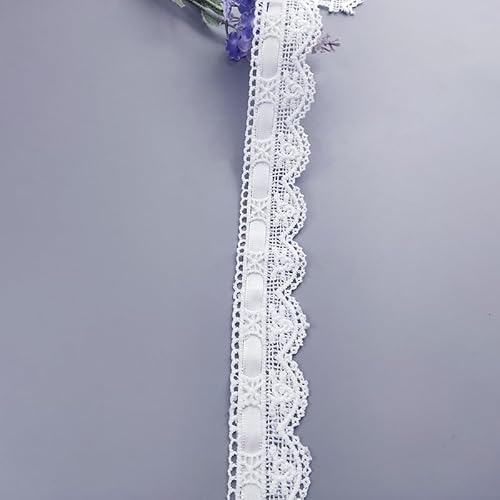 WANYI Spitzenband Stickerei Spitze Borten und Bänder zum Nähen 2.8cm Breit Spitzenborte mit Band Milchseide Spitzenstoff Vintage Dekoband für DIY Rock Kragen Unterwäsche Dekoration（Weiß+Weiß） von WANYI