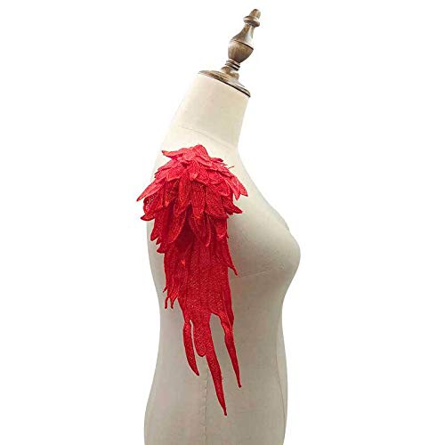 WANYI Spitzenkragen Spitze zum Nähen, Stickerei Patch Applique Spitzenapplikation Halskragen Ausschnitt Kragen Spitze für Brautkleid, Röcke, Strickwaren(L) von WANYI