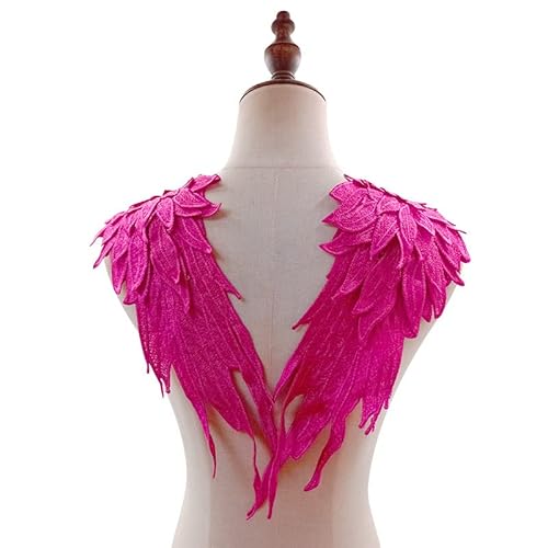 WANYI Spitzenkragen Spitze zum Nähen, Stickerei Patch Applique Spitzenapplikation Halskragen Ausschnitt Kragen Spitze für Brautkleid, Röcke, Strickwaren(L) von WANYI