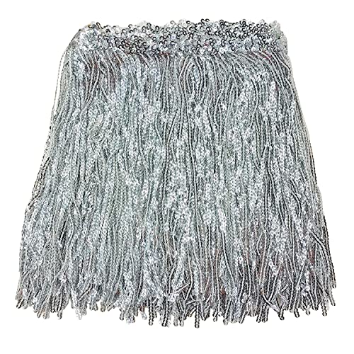 WANYIG 5 Yards Länge 16cm Breite Pailletten Quaste Band Fransenborte Quastenbesatz Quastenborte Schnittfranse Fransenband Trimmen für DIY Kleid Nähen Basteln Kostüme Dekoration (Silber) von WANYIG