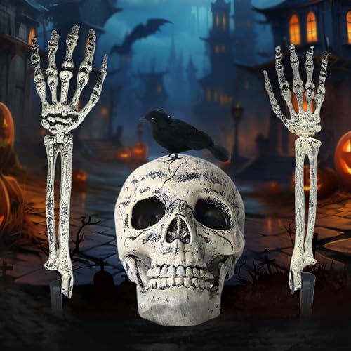 WAYBWZDQ 4 Teile Halloween Skelett, Halloween Plastikskelett, Skelett Deko, Totenkopf Deko mit Beweglichen Gelenken, mit Schädelkopf, Skelett Hand und Krähen, für Outdoor Garten, Rasen WAYBWZDQ 4 Teile Halloween Skelett, Halloween Plastikskelett, Skelett Deko, Totenkopf Deko mit Beweglichen Gelenken, mit Schädelkopf, Skelett Hand und Krähen, für Outdoor Garten, Rasen von WAYBWZDQ