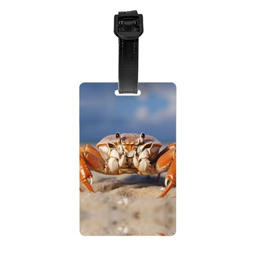 Gepäckanhänger mit Krabbenmuster, 8,4 x 5,3 cm, abnehmbarer Reiseanhänger für Privatsphäre Gepäckanhänger mit Krabbenmuster, 8,4 x 5,3 cm, abnehmbarer Reiseanhänger für Privatsphäre von WBQLSL