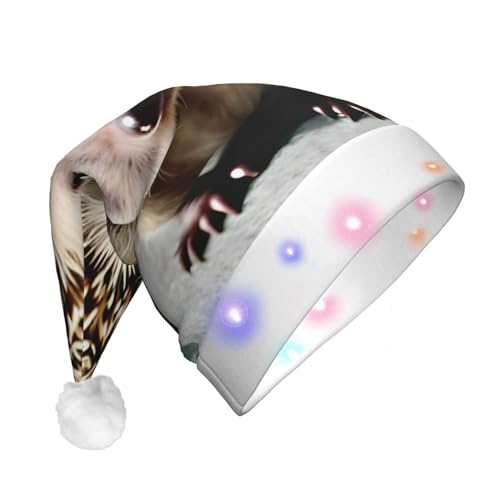 WBQLSL Niedlicher Igel-Weihnachtsmannhut mit LED-Licht, unisex, Weihnachten, Neujahr, Erwachsene, Plüsch, Neujahrsgeschenk, Party-Geschenk WBQLSL Niedlicher Igel-Weihnachtsmannhut mit LED-Licht, unisex, Weihnachten, Neujahr, Erwachsene, Plüsch, Neujahrsgeschenk, Party-Geschenk von WBQLSL