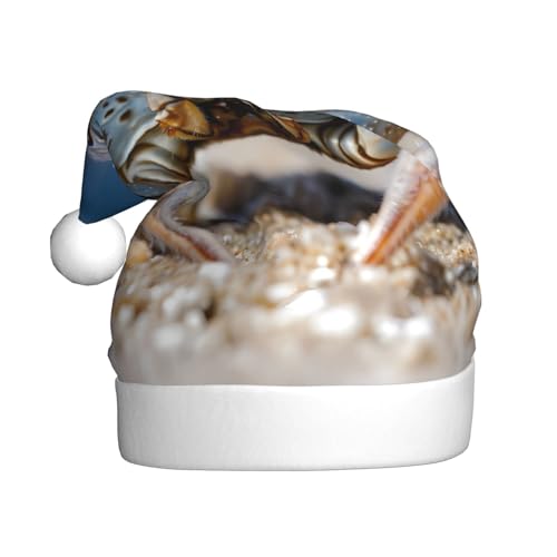 WBQLSL Weihnachtsmütze für Erwachsene, Weihnachtsmannmütze, Krabbe, krabbelnde Plüschmütze, Weihnachten, Neujahr, Party, Uni, dekorative Mütze, 40 cm WBQLSL Weihnachtsmütze für Erwachsene, Weihnachtsmannmütze, Krabbe, krabbelnde Plüschmütze, Weihnachten, Neujahr, Party, Uni, dekorative Mütze, 40 cm von WBQLSL