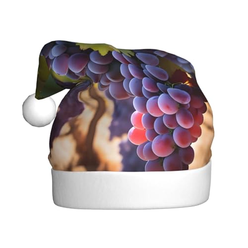 WBQLSL Weihnachtsmütze für Erwachsene, Weihnachtsmannmütze, Wüstentrauben, Plüsch, Weihnachtsmannmütze, Weihnachtsfest, Neujahr, Party, Uni, dekorative Mütze, 40 cm WBQLSL Weihnachtsmütze für Erwachsene, Weihnachtsmannmütze, Wüstentrauben, Plüsch, Weihnachtsmannmütze, Weihnachtsfest, Neujahr, Party, Uni, dekorative Mütze, 40 cm von WBQLSL