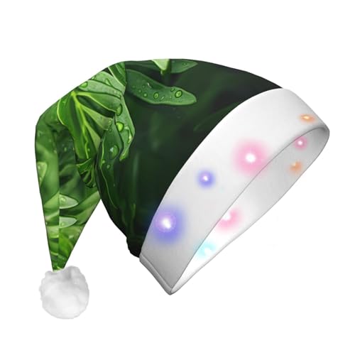 WBQLSL Zedernholz-Weihnachtsmannmütze, Weihnachtsmannmütze, Unisex, Weihnachten, Neujahr, Erwachsene, Plüsch, Neujahrs-, Weihnachtsgeschenk, Party-Geschenk von WBQLSL