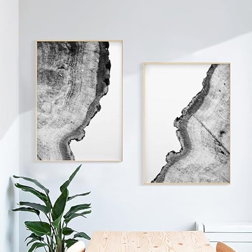 Wandkunstdrucke,2 Bilder Set-Abstrakte Baumringe Wandkunst Leinwandmalerei Schwarz Weiß Kiefernbäume Poster Drucke Bilder Schlafzimmer Büro Startseite Zimmer Dekoration-30*50cm/12*20 Zoll(ungerahmt) Wandkunstdrucke,2 Bilder Set-Abstrakte Baumringe Wandkunst Leinwandmalerei Schwarz Weiß Kiefernbäume Poster Drucke Bilder Schlafzimmer Büro Startseite Zimmer Dekoration-30*50cm/12*20 Zoll(ungerahmt) von WBYZAC