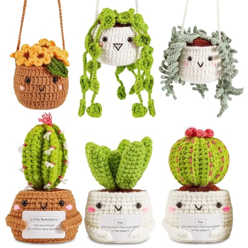 WDKXCN Häkelset für Anfänger, 6 Stück Kaktus Häkeln für Anfänger, Stricken für Anfänger Set, Crochet Set für DIY Handarbeiten mit Häkelnadeln, Garn, Füllung, Handnähnadel, Stichmarkern,Anleitung von WDKXCN