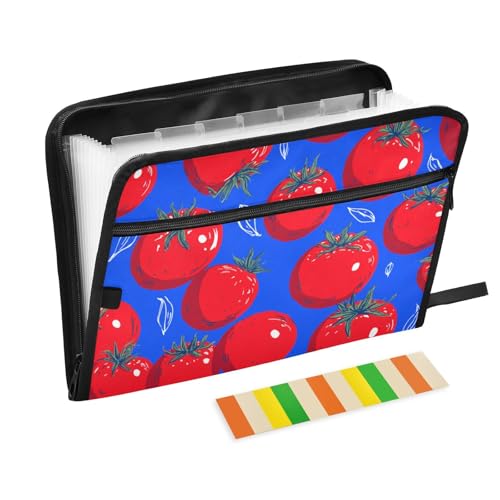 Dokumentenmappe, Retro-Stil, 13 Taschen, A4, Briefgröße mit Reißverschluss, Tomatenblau, für Papierordner von WDdZzyy