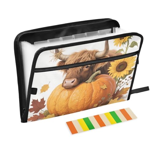 Dokumentenmappe für Herbst/Herbst, Hochlandrinder, Kürbis, Sonnenblume, erweiterbar, 13 Taschen, A4, Briefgröße mit Reißverschluss, für Ordner mit Verschluss von WDdZzyy