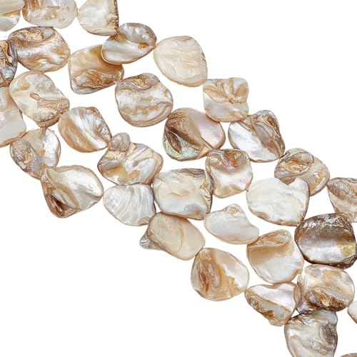 WEBEEDY 40 PCS Natürliche Muschel Perlen Perlen 2-2.3cm Freiform Unregelmäßige Form Muschel Perlen Natürliche Lose Spacer Perlen Bulk für Erwachsene Halskette Schmuck machen, Hochzeit Dekor von WEBEEDY