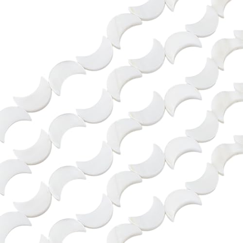 WEBEEDY 64 Stück Natürliche Muschelmondperlen Weiße Halbmond Muschelperlen Anhänger Für DIY Schmuckherstellung Halsketten Armbänder Ohrringe Handgefertigte Handwerk 9x13mm WEBEEDY 64 Stück Natürliche Muschelmondperlen Weiße Halbmond Muschelperlen Anhänger Für DIY Schmuckherstellung Halsketten Armbänder Ohrringe Handgefertigte Handwerk 9x13mm von WEBEEDY