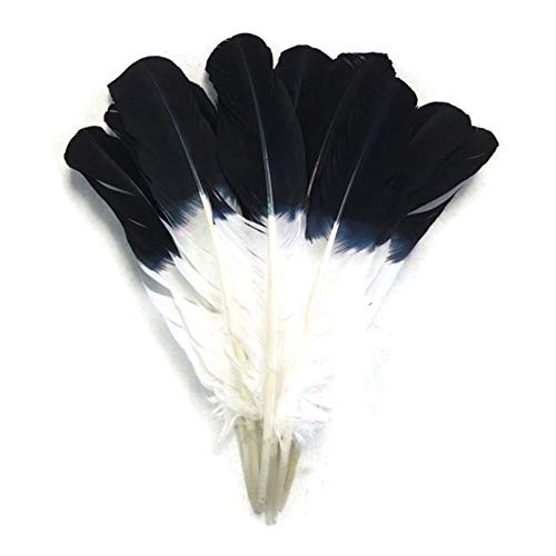 WEIDU 10-12 Zoll 25-30 cm gefärbte Türkei-Flügelkielfedern mit schwarzer Spitze imitierte Adlerfedern zum Basteln und als Hochzeitsdekoration WEIDU 10-12 Zoll 25-30 cm gefärbte Türkei-Flügelkielfedern mit schwarzer Spitze imitierte Adlerfedern zum Basteln und als Hochzeitsdekoration von WEIDU