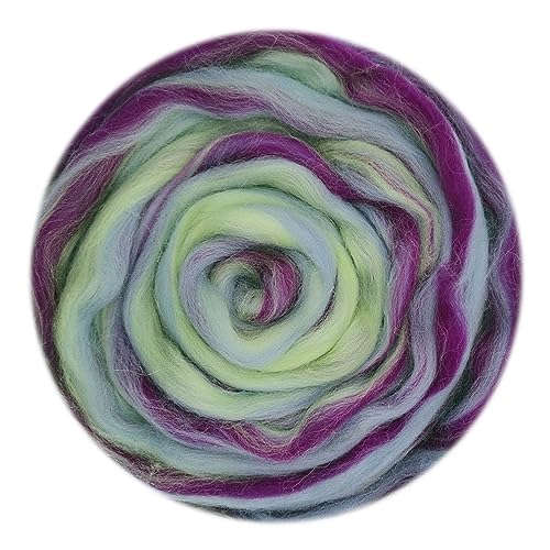 Die Wolle, 50g Wollmischung Roving Garn Kunst Nadel Nassfilzen Zubehör DIY Wolle Multicolor(50g-02) von WEITINGKKK