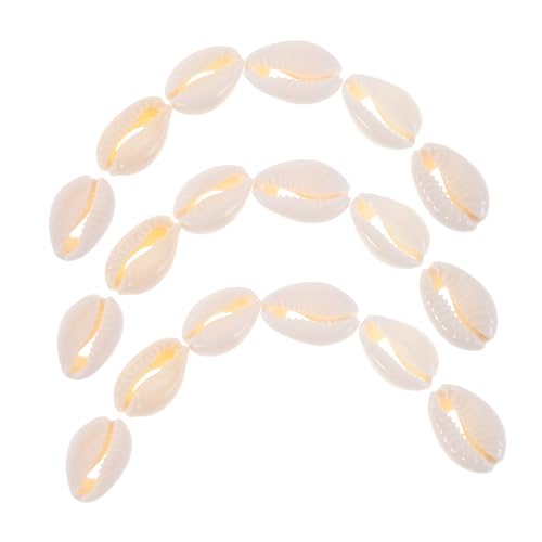 WEKAMOS 100 Stück Natürliche Handgeschnittene Spiralmuscheln Schmuckperlen für DIY Schmuckherstellung Vielseitige Bastelperlen für Armbänder Halsketten Ohrringe und Partydekoration WEKAMOS 100 Stück Natürliche Handgeschnittene Spiralmuscheln Schmuckperlen für DIY Schmuckherstellung Vielseitige Bastelperlen für Armbänder Halsketten Ohrringe und Partydekoration von WEKAMOS