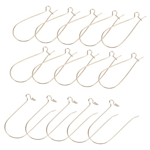 WEKAMOS 100 Stück Ohrhaken aus Eisen für Damen zum Selbermachen Leichte Dangle Ohrhaken Glatte Oberfläche DIY Zubehör für Ohrringherstellung für Schmuckprojekte von WEKAMOS