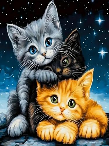 WELIWE Stickerei-Kreuzstich-Set 11CT Vorgedruckte Leinwand DIY Kunst Kreuzstich Kit für Anfänger Kinder Heimdekoration Sternenlichtkätzchen 40×50 cm WELIWE Stickerei-Kreuzstich-Set 11CT Vorgedruckte Leinwand DIY Kunst Kreuzstich Kit für Anfänger Kinder Heimdekoration Sternenlichtkätzchen 40×50 cm von WELIWE