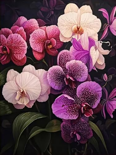 WELIWE Vorgedruckt Kreuzstich kit für Erwachsene 11CT Stickerei Set DIY Starter Stickbild Handwerk Heimdekoration Blumen 40×50 cm WELIWE Vorgedruckt Kreuzstich kit für Erwachsene 11CT Stickerei Set DIY Starter Stickbild Handwerk Heimdekoration Blumen 40×50 cm von WELIWE