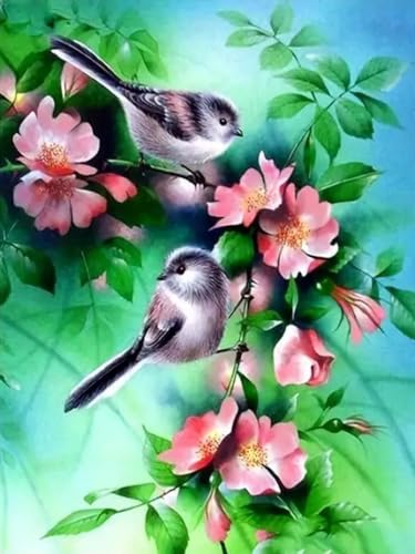 WELIWE Vorgedruckt Kreuzstich kit für Erwachsene 11CT Stickerei Set DIY Starter Stickbild Handwerk Heimdekoration Blumenzweig Vogel 40×50 cm WELIWE Vorgedruckt Kreuzstich kit für Erwachsene 11CT Stickerei Set DIY Starter Stickbild Handwerk Heimdekoration Blumenzweig Vogel 40×50 cm von WELIWE