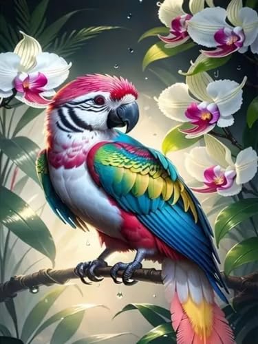 WELIWE Vorgedruckt Kreuzstich kit für Erwachsene 11CT Stickerei Set DIY Starter Stickbild Handwerk Heimdekoration Papagei Vogel 40×50 cm von WELIWE