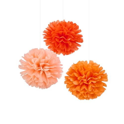 Seidenpapier-Pompons, Seidenpapierblumen, Flusenbälle, Party-Dekorationen, 30,5 cm, 12 Stück (Orange, Pfirsich) von WEVEN