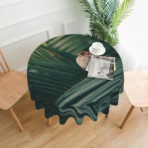 WHJWZY Kleine Spatzen auf Palmblättern, runde Tischdecke, 152,4 cm, waschbar, für runden Esstisch von WHJWZY