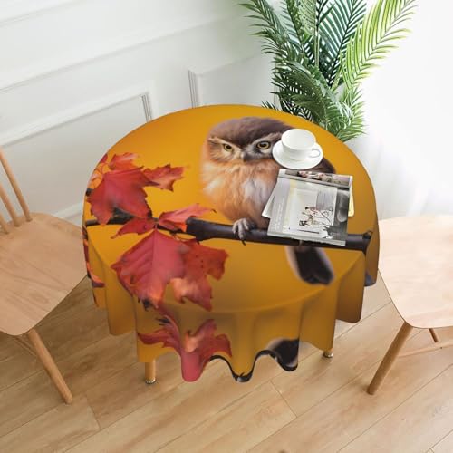 WHJWZY Kleine runde Tischdecke mit Eulenmuster, 152,4 cm, kann gewaschen werden, für runden Esstisch von WHJWZY