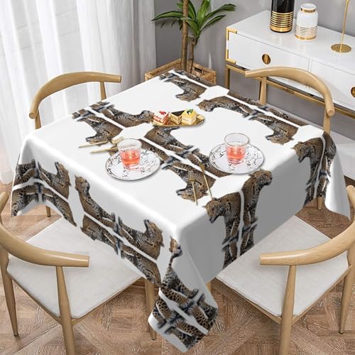 WHJWZY Quadratische dekorative Tischdecke, 152,4 x 152,4 cm, hochwertiger, wasserdichter Stoff für Esstischschutz und Dekoration, Jaguar-Streifen-Druck von WHJWZY