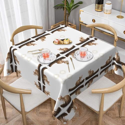 WHJWZY Quadratische dekorative Tischdecke, 152,4 x 152,4 cm, hochwertiger, wasserdichter Stoff für Esstischschutz und Dekoration, Motiv: Kätzchen, das auf die Sterne schaut von WHJWZY