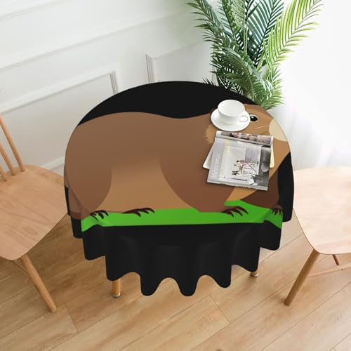 WHJWZY Runde Tischdecke mit Murmeltier auf dem Rasen, 152,4 cm, kann gewaschen werden, für runden Esstisch von WHJWZY