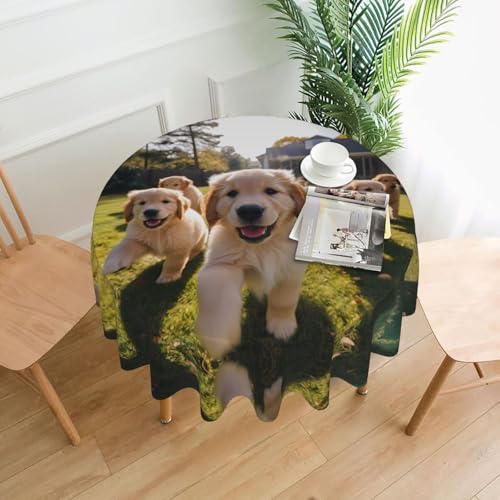 WHJYYXDE Runde dekorative Tischdecken – 152,4 cm, kann gewaschen und wiederverwendet werden für runde Tische, Esstisch, Couchtisch, Golden Retriever, Welpen-Druck von WHJYYXDE