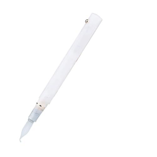 WJLYDM Harz Füllfederhalter Tinte Gebogene Feder Extra Dip Geschäftsbriefpapier Büro Schulbedarf Schreibstifte(Color1) von WJLYDM