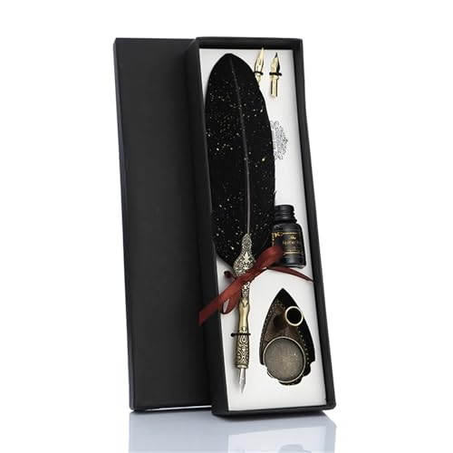 WJLYDM Kalligraphie-Federfeder mit 2 Federn, Federkiel, Füllfederhalter, kreatives Vintage-Schreibwaren, klassische Textur, Geschenkbox(Black) von WJLYDM
