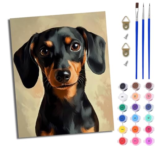 WJWWANG Malen Nach Zahlen Erwachsene Malen Nach Zahlen Süßer Dackel DIY Handgemalt Ölgemälde Kit für Anfänger und Erwachsene Mit 3-Pinseln und Acrylfarbe Mit Rahmen 40X50CM WJWWANG Malen Nach Zahlen Erwachsene Malen Nach Zahlen Süßer Dackel DIY Handgemalt Ölgemälde Kit für Anfänger und Erwachsene Mit 3-Pinseln und Acrylfarbe Mit Rahmen 40X50CM von WJWWANG