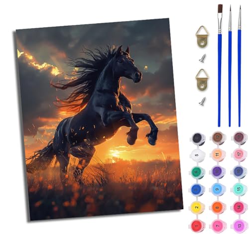 WJWWANG Malen Nach Zahlen ErwachseneSpringendes schwarzes Pferd DIY Handgemalt Ölgemälde Kit für Anfänger und Erwachsene Mit 3-Pinseln und Acrylfarbe Ohne Rahmen 40X50CM WJWWANG Malen Nach Zahlen ErwachseneSpringendes schwarzes Pferd DIY Handgemalt Ölgemälde Kit für Anfänger und Erwachsene Mit 3-Pinseln und Acrylfarbe Ohne Rahmen 40X50CM von WJWWANG