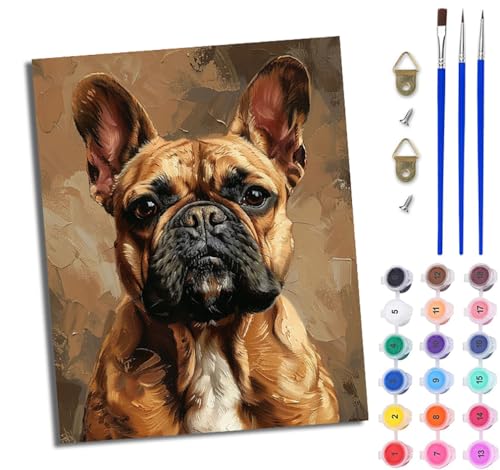 WJWWANG Malen nach Zahlen DIY Handgemalt Ölgemälde Set für Anfänger und Jugendliche Sanfte französische Bulldogge Pinsel und Acrylfarbe 40x50 cm ideal als Geschenk oder zur Heimdekoration von WJWWANG