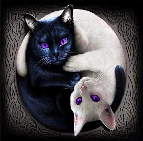 WJYYUD 5D Diamond Painting Set Yin Yang Cat Diamant Full Malerei Bilder Kinder Erwachsene Malen nach Zahlen Strass Mosaik Kreuzstich Kunst Wand-Dekor 30x40cm Rahmenlos WJYYUD 5D Diamond Painting Set Yin Yang Cat Diamant Full Malerei Bilder Kinder Erwachsene Malen nach Zahlen Strass Mosaik Kreuzstich Kunst Wand-Dekor 30x40cm Rahmenlos von WJYYUD