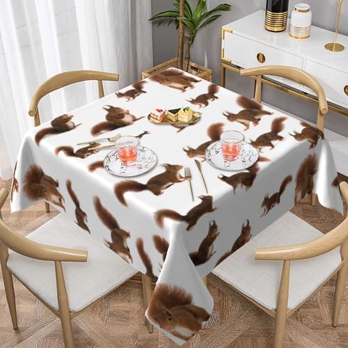 WKSGDSG Wasserdichte quadratische Tischdecke, 152 x 152 cm, auslaufsicher und knitterfrei, dekorative Tischdecke für Esstisch, Küche, Party, niedliche Eichhörnchen, Tischdecken für Esszimmer WKSGDSG Wasserdichte quadratische Tischdecke, 152 x 152 cm, auslaufsicher und knitterfrei, dekorative Tischdecke für Esstisch, Küche, Party, niedliche Eichhörnchen, Tischdecken für Esszimmer von WKSGDSG