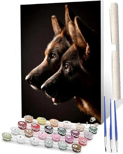Malen nach Zahlen Kinder ab 7 8 9 10 Jahre Mädchen, Malen nach Zahlen Erwachsene Jugendliche Malen-Nach-Zahlen Kinder Teenager Geschenkideen Malen nach Zahlen 40 x 50 cm Deutscher Schäferhund 7 Malen nach Zahlen Kinder ab 7 8 9 10 Jahre Mädchen, Malen nach Zahlen Erwachsene Jugendliche Malen-Nach-Zahlen Kinder Teenager Geschenkideen Malen nach Zahlen 40 x 50 cm Deutscher Schäferhund 7 von WMZPOY