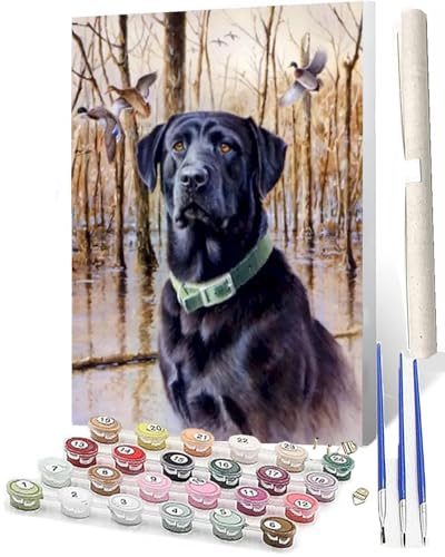 WMZPOY Erwachsene Labrador 5 Der mit Farbige Berührung Digitale Malerei Kits für Erwachsene Malerei Kunsthandwerk 16x20 WMZPOY Erwachsene Labrador 5 Der mit Farbige Berührung Digitale Malerei Kits für Erwachsene Malerei Kunsthandwerk 16x20 von WMZPOY