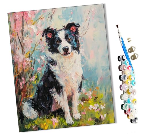 WMZPOY Malen Nach Zahlen Erwachsene Border Collie in den Blumen 1 DIY handgemaltes Ölgemälde Set für Anfänger und Erwachsene, Acrylfarbe, Kindergemälde, Kreative Heimdekoration, Geschenk, Weihnachten WMZPOY Malen Nach Zahlen Erwachsene Border Collie in den Blumen 1 DIY handgemaltes Ölgemälde Set für Anfänger und Erwachsene, Acrylfarbe, Kindergemälde, Kreative Heimdekoration, Geschenk, Weihnachten von WMZPOY