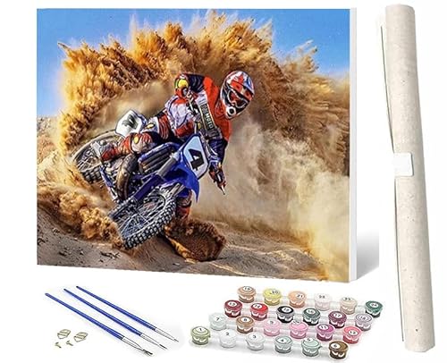 WMZPOY Malen Nach Zahlen ErwachseneDiy Malen Nach Zahlen Im Alter Von 8 Bis 12 JahrenGeeignet FüR öLmalanfäNger Wüsten-Motocross 004 Als Festival Geschenk (40x 50cm) von WMZPOY