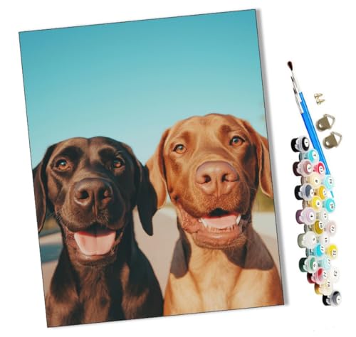 WMZPOY Malen nach Zahlen Erwachsene Partner in der Sonne DIY Malen nach Zahlen Kits auf Leinwand Acrylmalerei mit Pinseln Leinwand Geschenke Kunsthandwerk 40 x 50 cm(rahmenlos) von WMZPOY