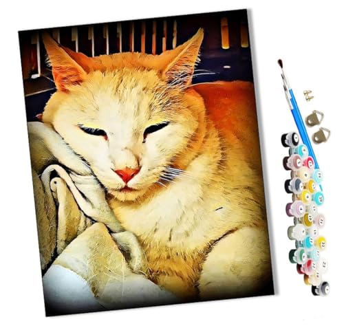 WMZPOY Malen nach Zahlen Kits Melancholische Katze DIY vorgedruckte Leinwand Ölgemälde Geschenk für Erwachsene Kinder Home House Decor 40 * 50 cm rahmenlose von WMZPOY