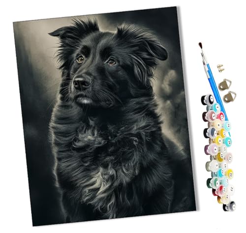 WMZPOY Malen nach Zahlen Kits Nachtelfen DIY vorgedruckte Leinwand Ölgemälde Geschenk für Erwachsene Kinder Home House Decor 40 * 50 cm rahmenlose von WMZPOY
