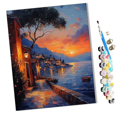 WMZPOY Malen nach Zahlen Küstenhauslandschaft Kits für Anfänger Erwachsene DIY Art Decor Handgemalte Malerei nach Zahlen Kreatives Geschenk Home Decoration 16x20 Zoll von WMZPOY