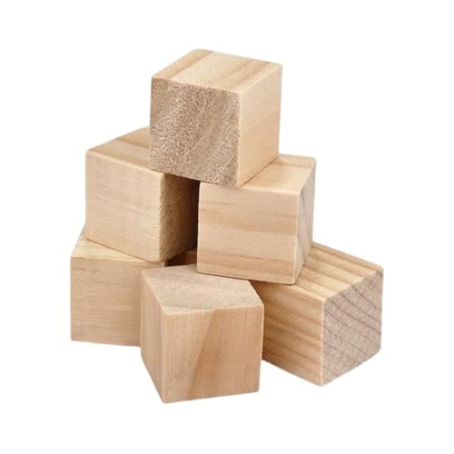 WOATOHO Unfertige Mini-Holzwürfel, kleine Größe, 20 mm, 15 mm, 10 mm, kompakte Holzblöcke, Nicht verformbar(20mm) von WOATOHO